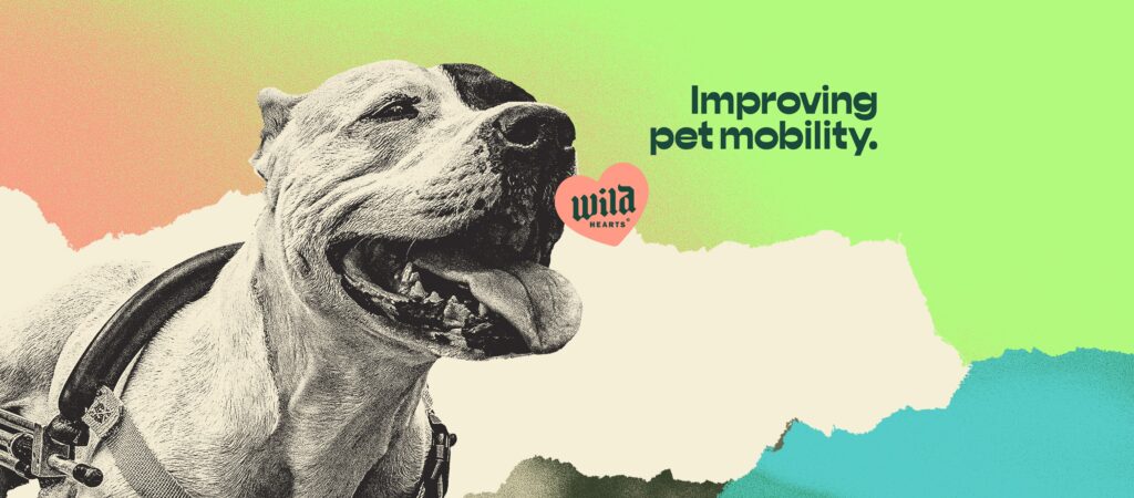 Wild Hearts cover image