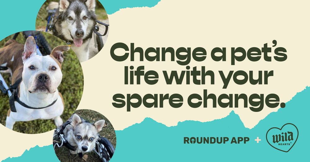 Wild Hearts RoundUp App Facebook image