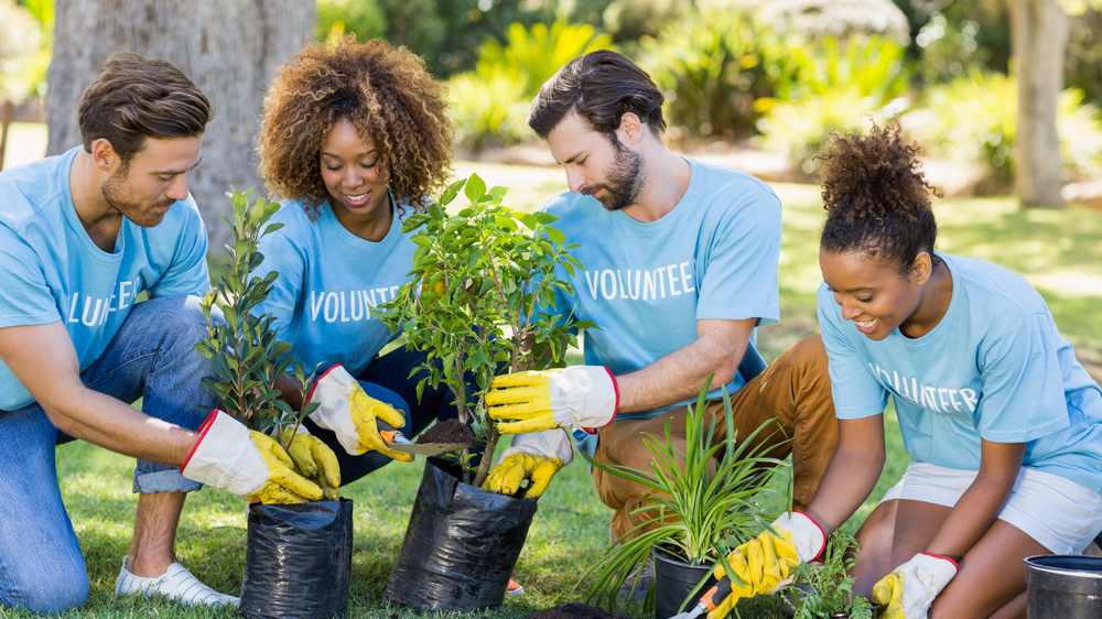 Volunteers planting trees